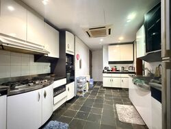 Nassim Jade (D10), Condominium #556376641